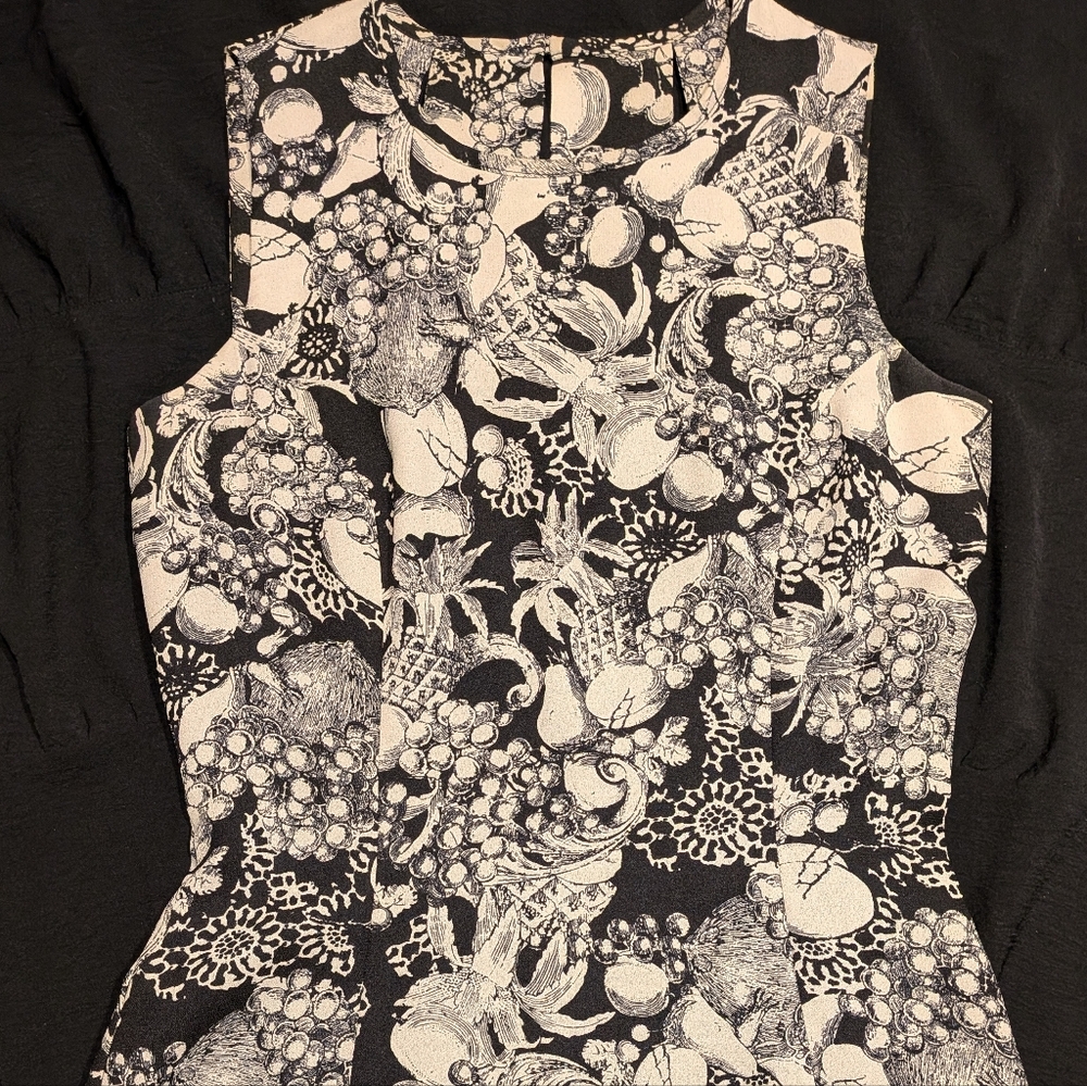 Vintage Pat Argenti Fruit Design Black and Beige Dress Princess Seam